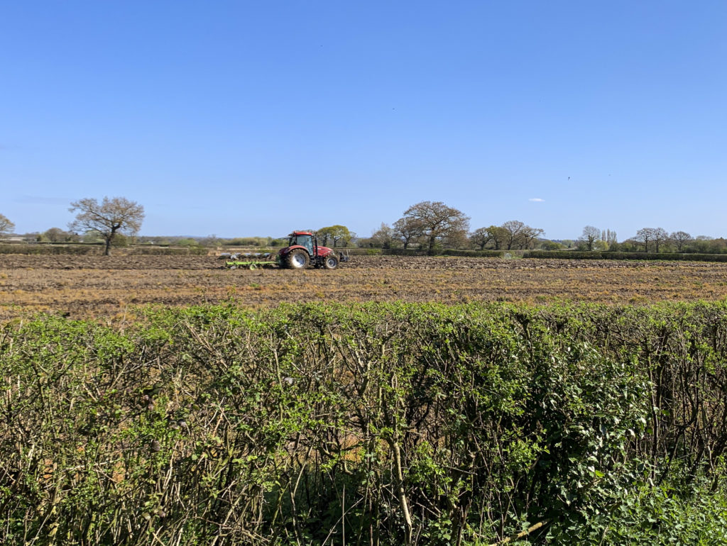 Ploughing in field off Daisy Lane