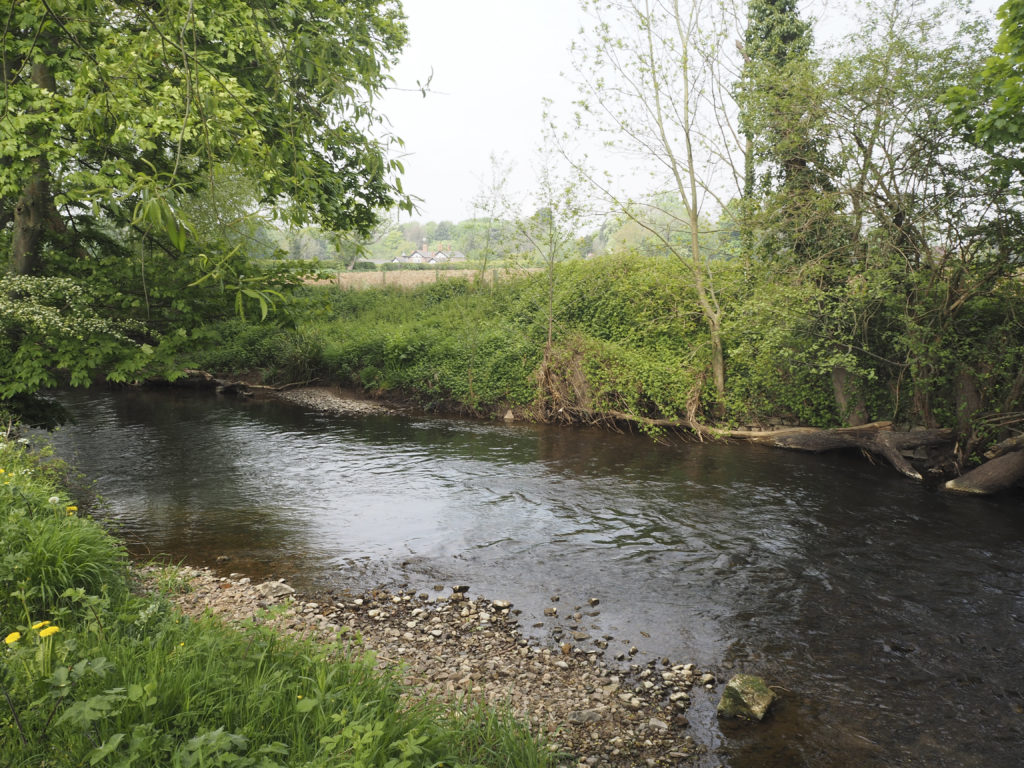 Meandering River Alyn
